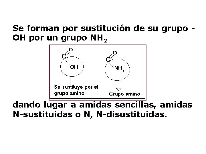 Se forman por sustitución de su grupo OH por un grupo NH 2 dando