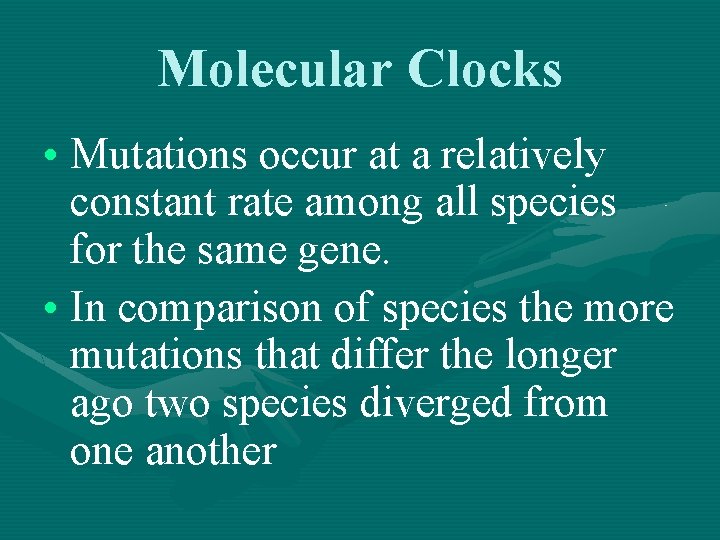 Molecular Clocks • Mutations occur at a relatively constant rate among all species for