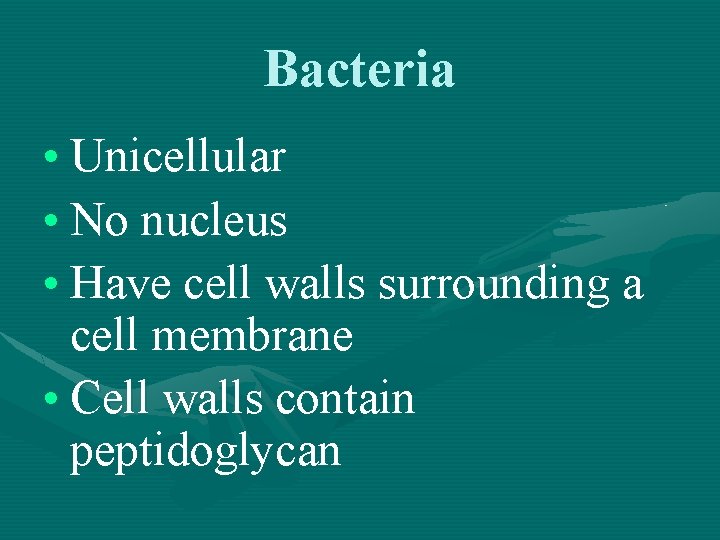 Bacteria • Unicellular • No nucleus • Have cell walls surrounding a cell membrane