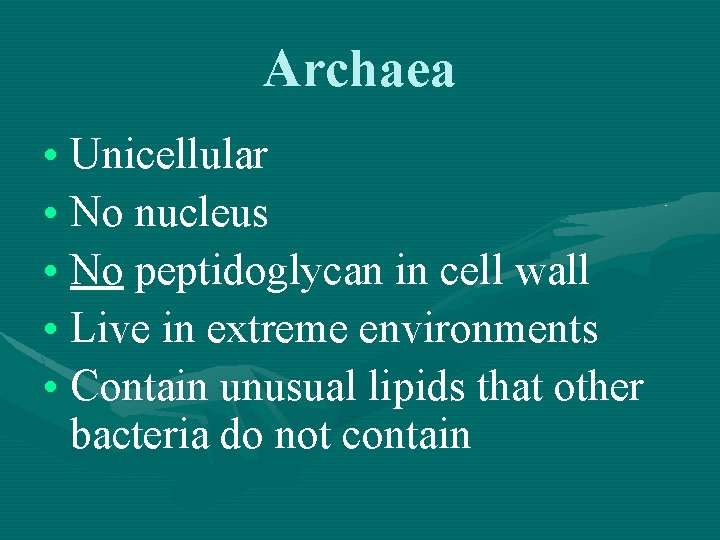 Archaea • Unicellular • No nucleus • No peptidoglycan in cell wall • Live