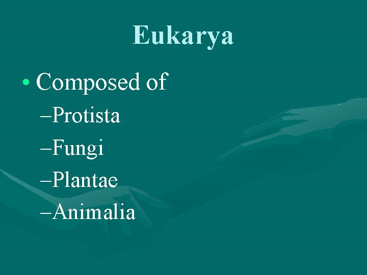 Eukarya • Composed of –Protista –Fungi –Plantae –Animalia 