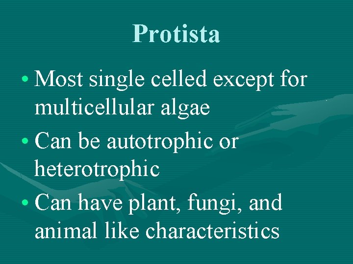 Protista • Most single celled except for multicellular algae • Can be autotrophic or