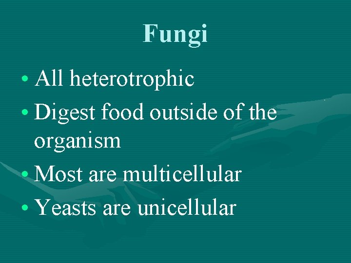 Fungi • All heterotrophic • Digest food outside of the organism • Most are