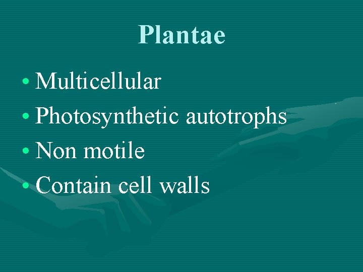Plantae • Multicellular • Photosynthetic autotrophs • Non motile • Contain cell walls 