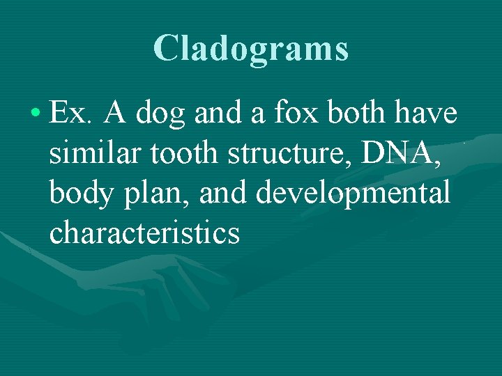 Cladograms • Ex. A dog and a fox both have similar tooth structure, DNA,