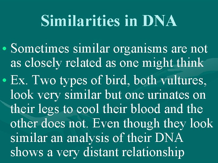 Similarities in DNA • Sometimes similar organisms are not as closely related as one