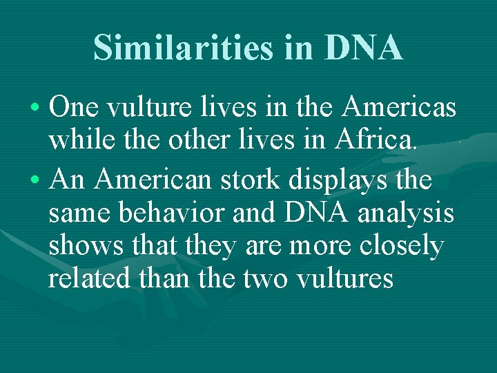 Similarities in DNA • One vulture lives in the Americas while the other lives