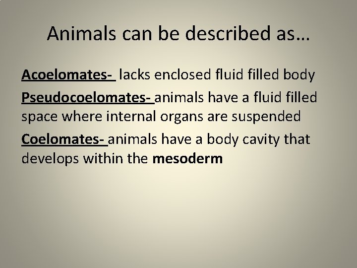 Animals can be described as… Acoelomates- lacks enclosed fluid filled body Pseudocoelomates- animals have