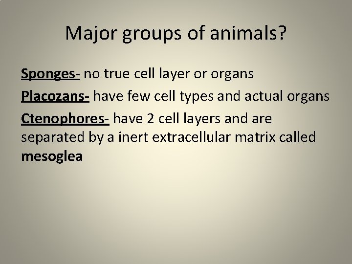 Major groups of animals? Sponges- no true cell layer or organs Placozans- have few