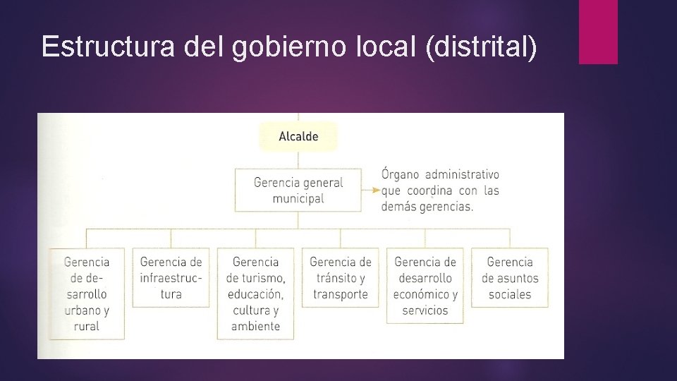 Estructura del gobierno local (distrital) 