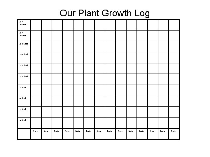 How to Grow a Lima Bean By Jennifer