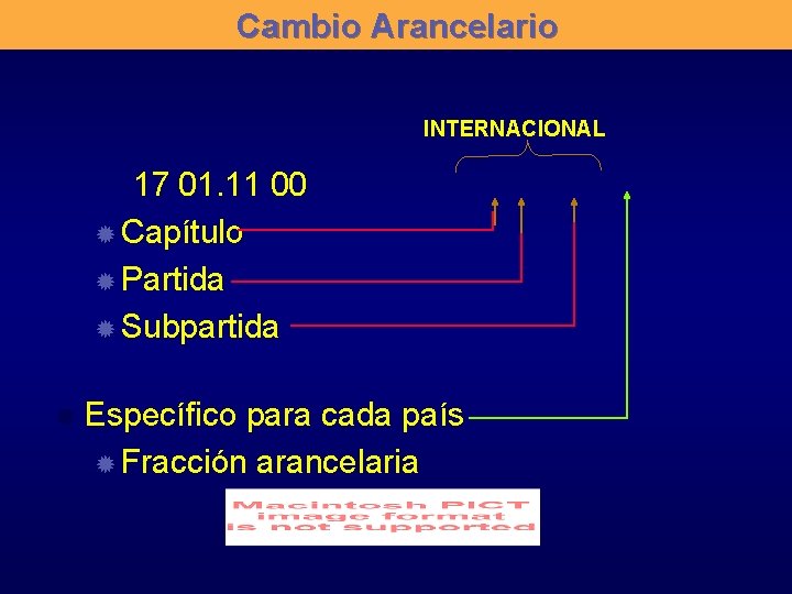 Cambio Arancelario INTERNACIONAL 17 01. 11 00 ® Capítulo ® Partida ® Subpartida ®