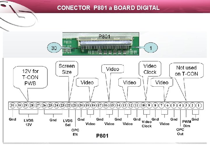 CONECTOR P 801 a BOARD DIGITAL 