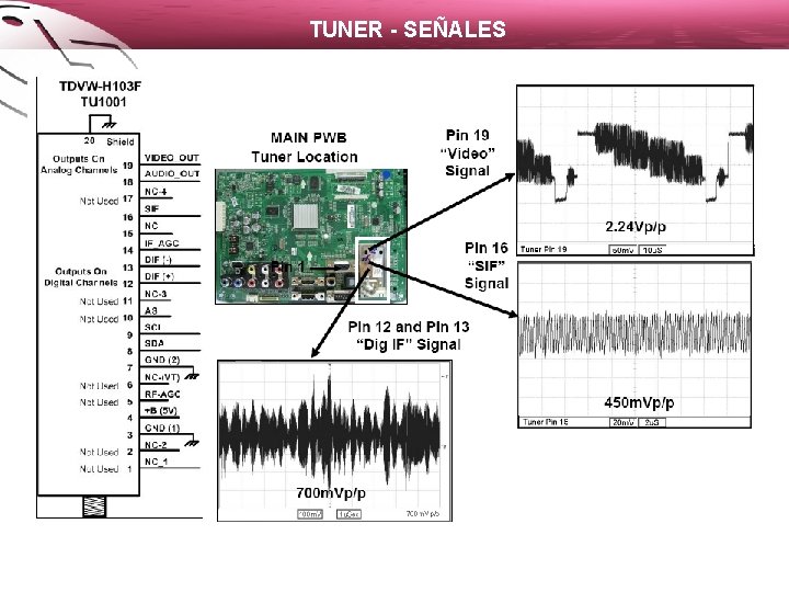 TUNER - SEÑALES 