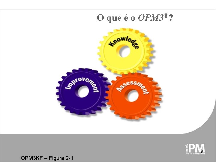 O que é o OPM 3®? 9 OPM 3 KF – Figura 2 -1