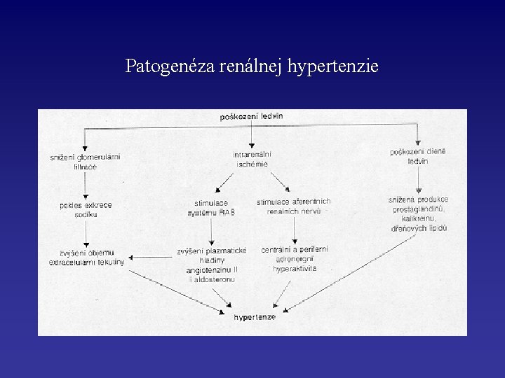 Patogenéza renálnej hypertenzie 