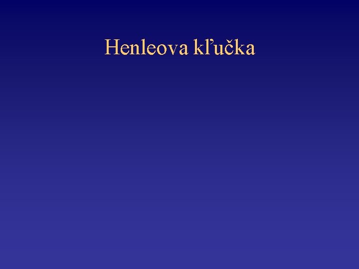 Henleova kľučka 