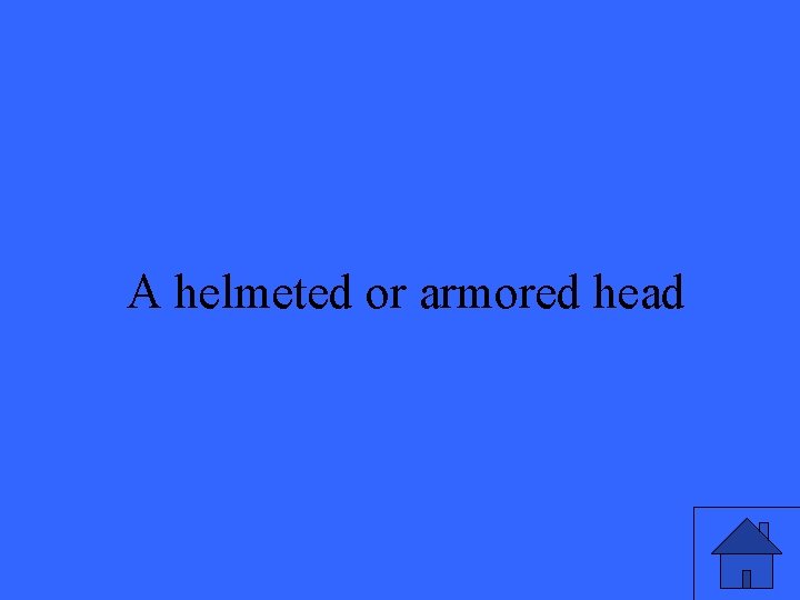 A helmeted or armored head 23 