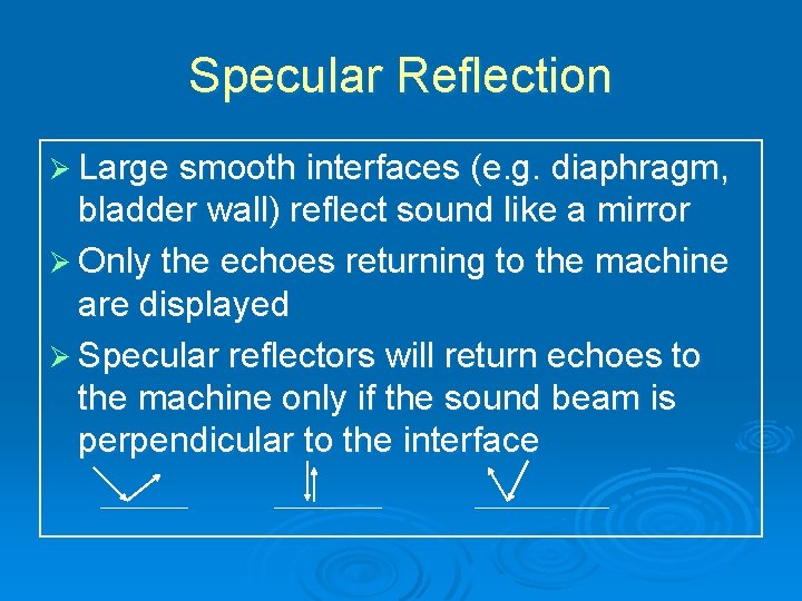 Specular Reflection Ø Large smooth interfaces (e. g. diaphragm, bladder wall) reflect sound like