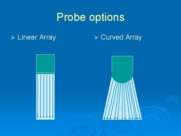 Probe options Ø Linear Array Ø Curved Array 