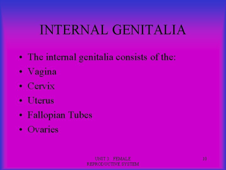 INTERNAL GENITALIA • • • The internal genitalia consists of the: Vagina Cervix Uterus