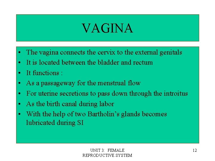 VAGINA • • The vagina connects the cervix to the external genitals It is