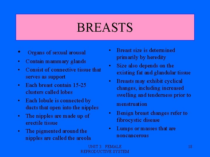 BREASTS • Organs of sexual arousal • Contain mammary glands • Consist of connective