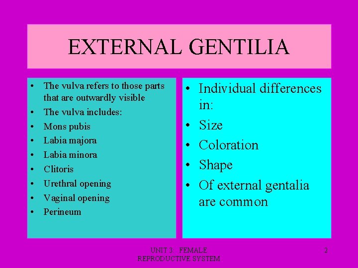 EXTERNAL GENTILIA • The vulva refers to those parts that are outwardly visible •