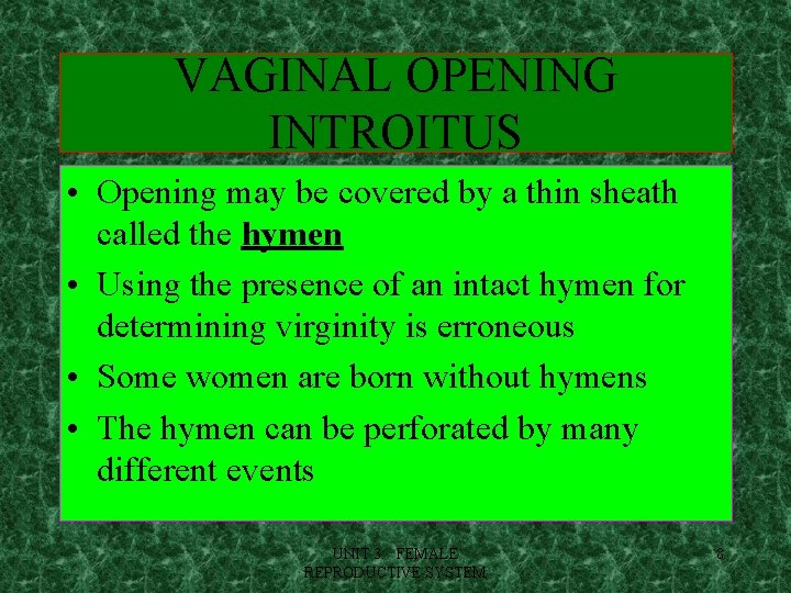 VAGINAL OPENING INTROITUS • Opening may be covered by a thin sheath called the
