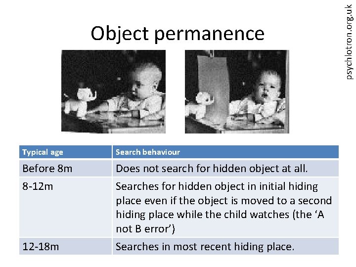 Typical age Search behaviour Before 8 m 8 -12 m Does not search for
