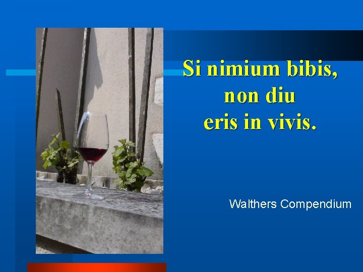 Si nimium bibis, non diu eris in vivis. Walthers Compendium 