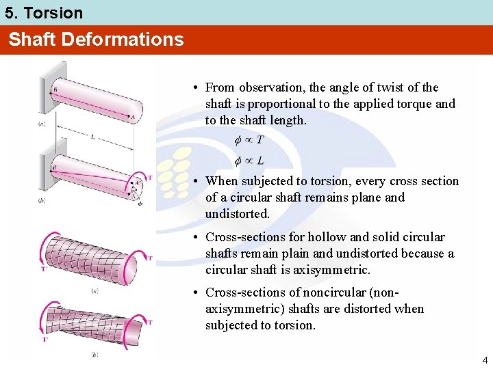 5. Torsion Shaft Deformations • From observation, the angle of twist of the shaft