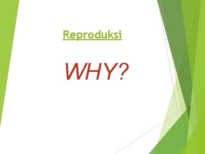 Reproduksi WHY? 