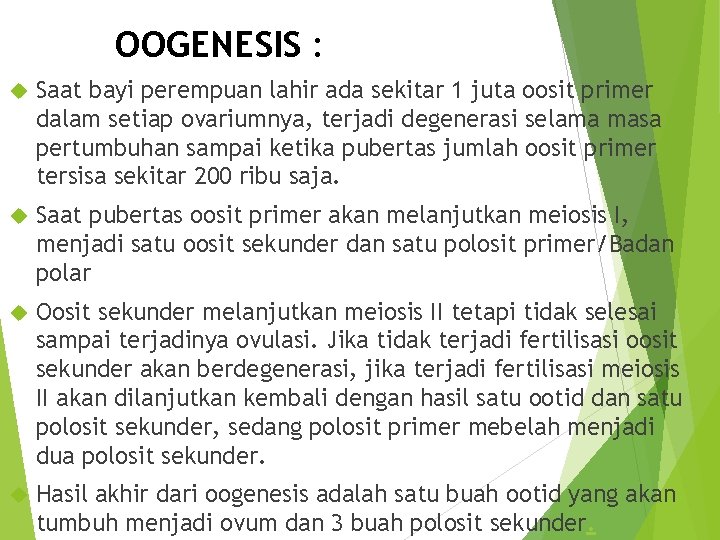 OOGENESIS : Saat bayi perempuan lahir ada sekitar 1 juta oosit primer dalam setiap