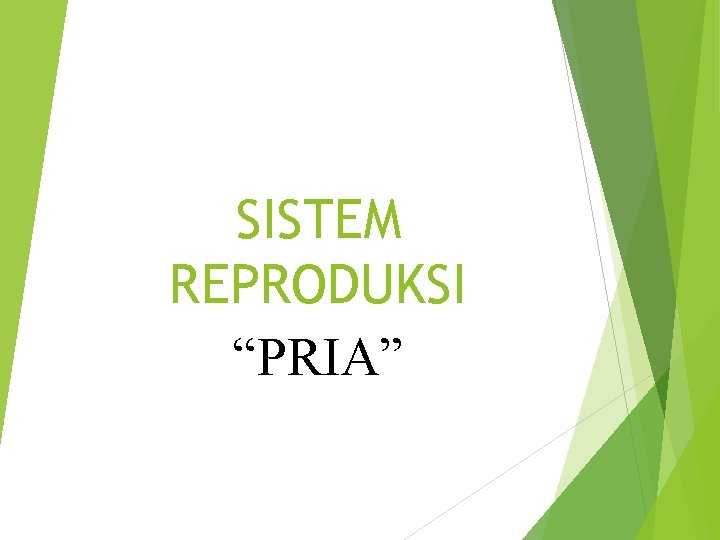 SISTEM REPRODUKSI “PRIA” 