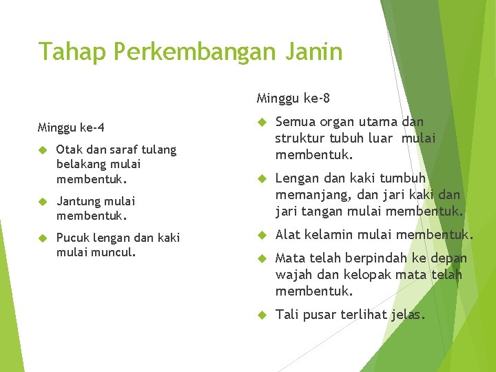 Tahap Perkembangan Janin Minggu ke-8 Minggu ke-4 Otak dan saraf tulang belakang mulai membentuk.