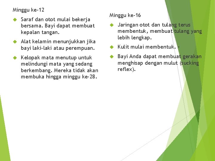 Minggu ke-12 Saraf dan otot mulai bekerja bersama. Bayi dapat membuat kepalan tangan. Alat