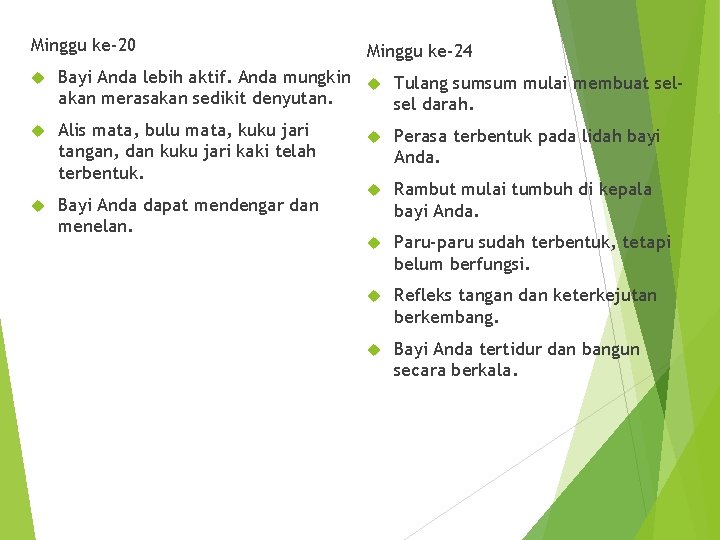 Minggu ke-20 Minggu ke-24 Bayi Anda lebih aktif. Anda mungkin Tulang sumsum mulai membuat