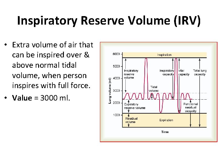 Inspiratory Reserve Volume (IRV) • Extra volume of air that can be inspired over