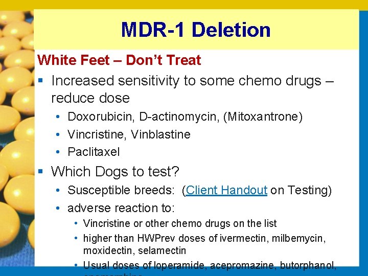 MDR-1 Deletion White Feet – Don’t Treat § Increased sensitivity to some chemo drugs