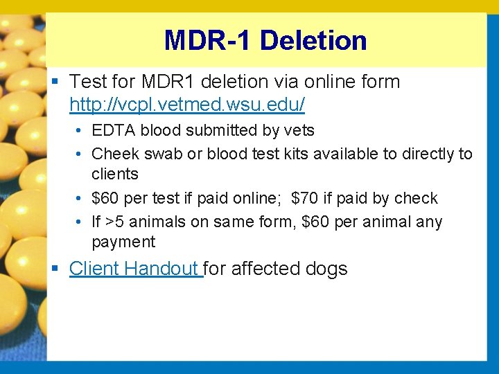 MDR-1 Deletion § Test for MDR 1 deletion via online form http: //vcpl. vetmed.