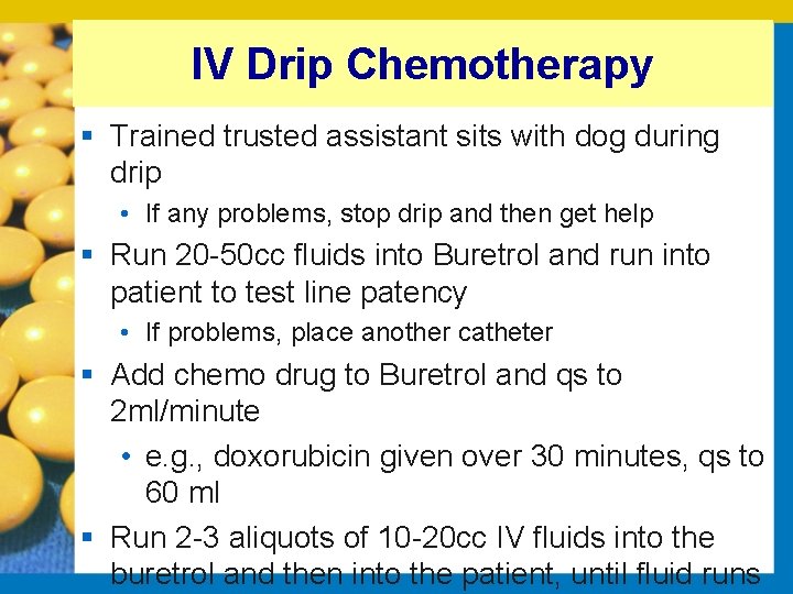 IV Drip Chemotherapy § Trained trusted assistant sits with dog during drip • If