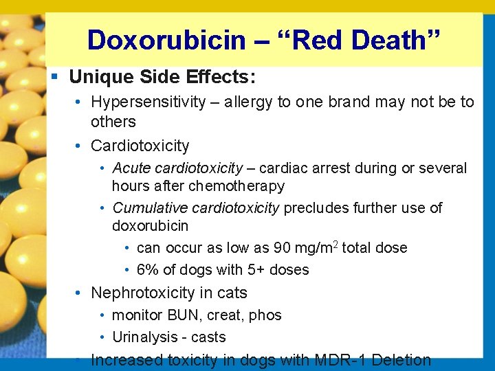 Doxorubicin – “Red Death” § Unique Side Effects: • Hypersensitivity – allergy to one