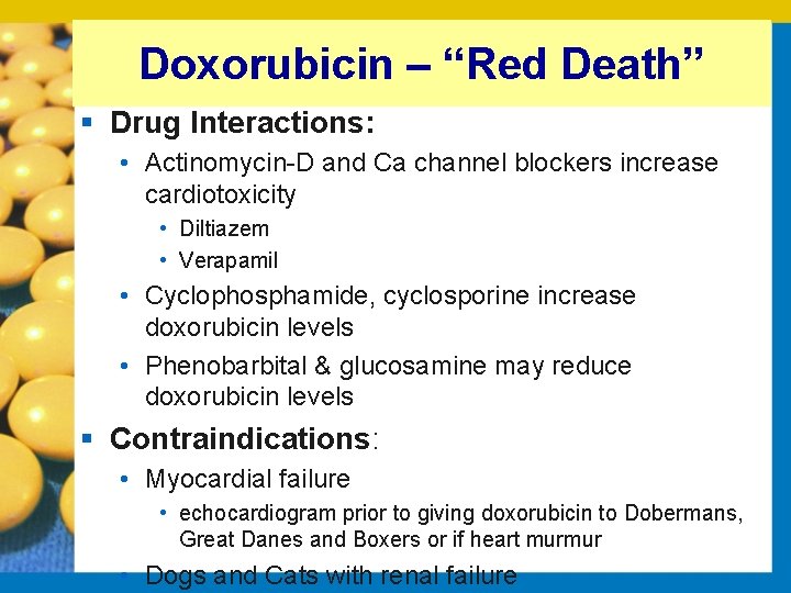 Doxorubicin – “Red Death” § Drug Interactions: • Actinomycin D and Ca channel blockers