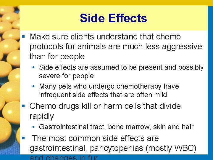 Side Effects § Make sure clients understand that chemo protocols for animals are much