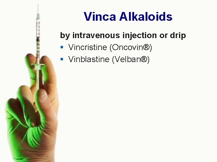 Vinca Alkaloids by intravenous injection or drip § Vincristine (Oncovin®) § Vinblastine (Velban®) 