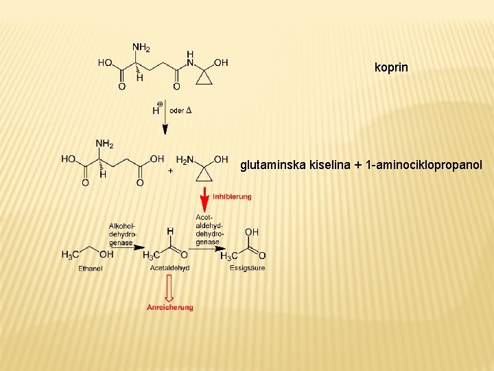 koprin glutaminska kiselina + 1 -aminociklopropanol 