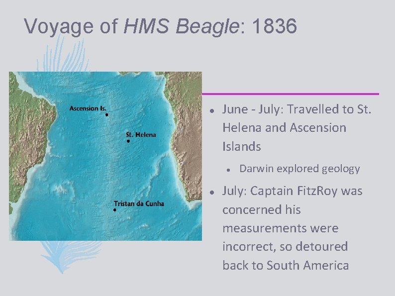 Voyage of HMS Beagle: 1836 June - July: Travelled to St. Helena and Ascension