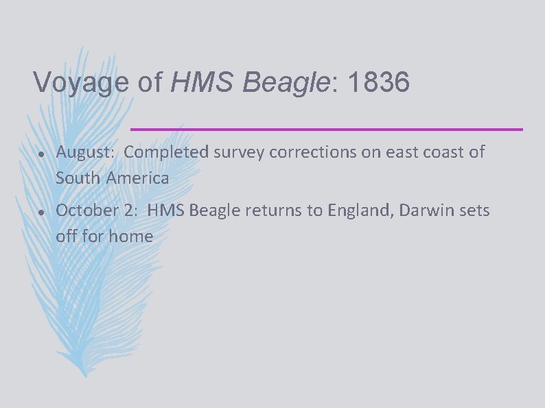 Voyage of HMS Beagle: 1836 August: Completed survey corrections on east coast of South