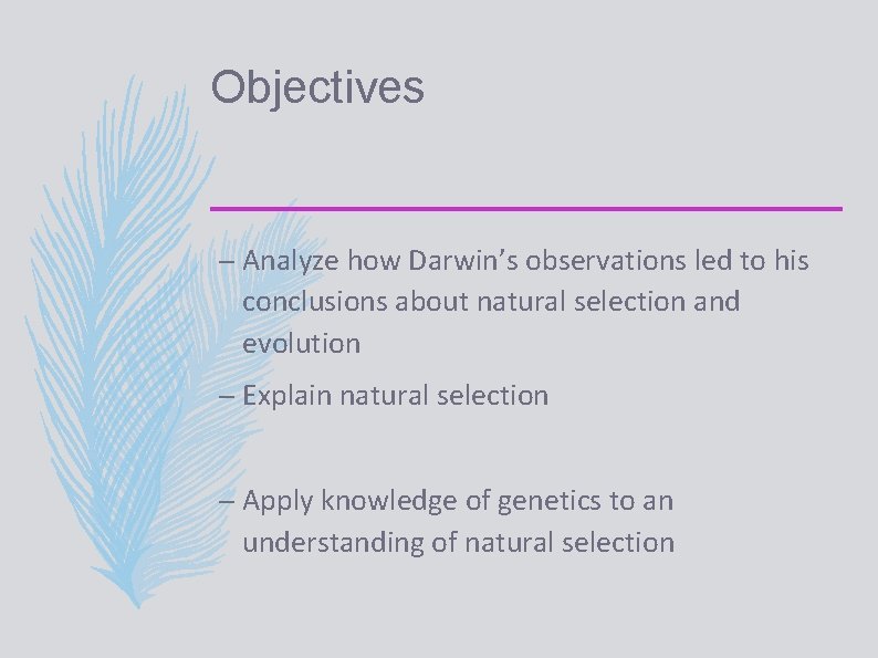 Objectives – Analyze how Darwin’s observations led to his conclusions about natural selection and
